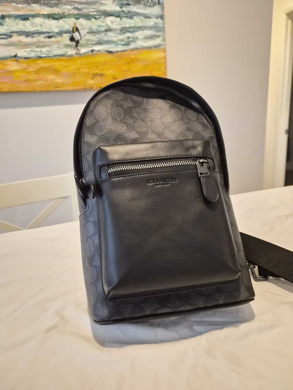 Coach Men's Black Signature Mini Backpack Sling